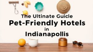 Read more about the article Roundup: The Ultimate Guide to Pet Friendly Hotels in Indianapolis